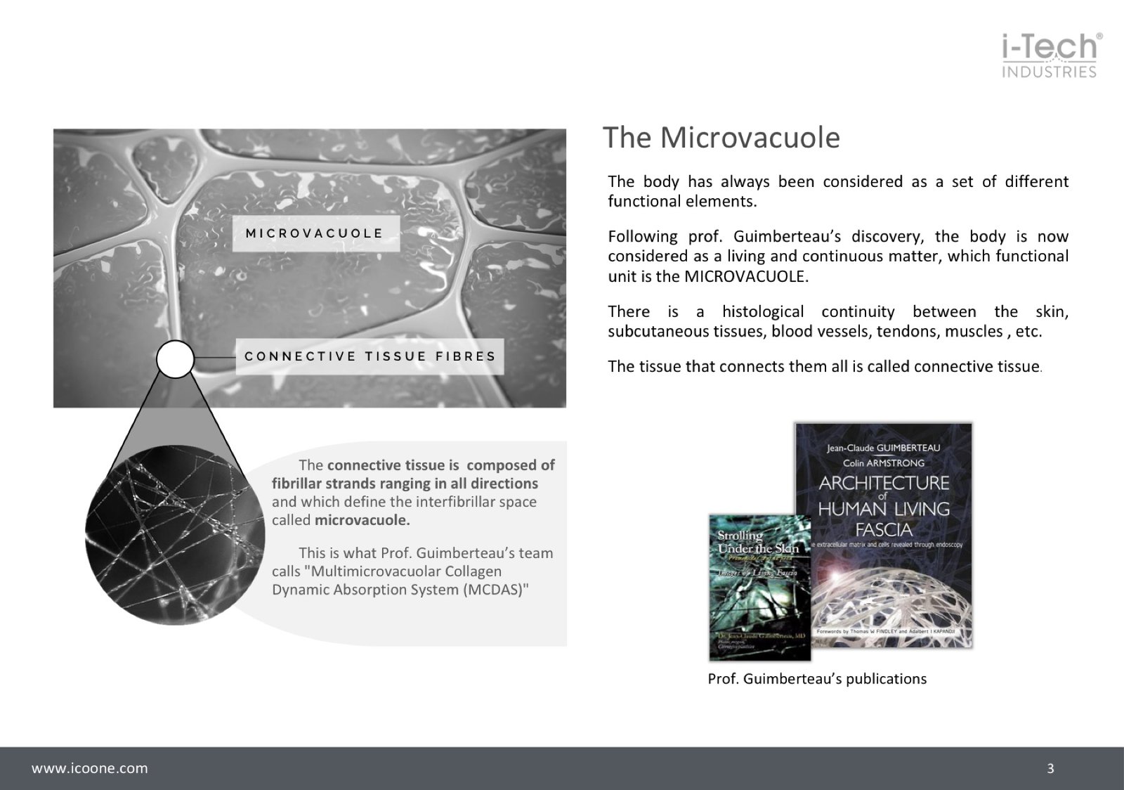 The Microvacuole